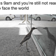 Illustration for article titled Why Scientists Think This Silly-Ass Bird Can't Stop Looking at Its Reflection